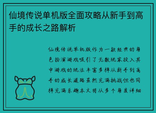 仙境传说单机版全面攻略从新手到高手的成长之路解析